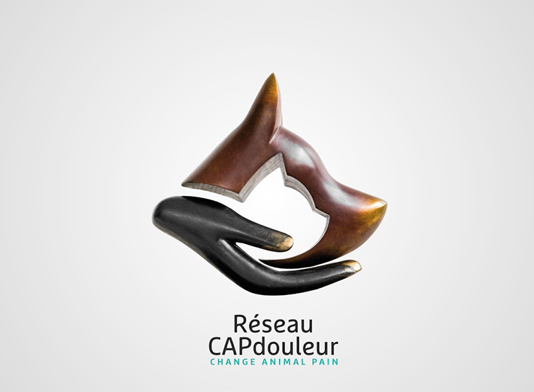 Le réseau Capdouleur